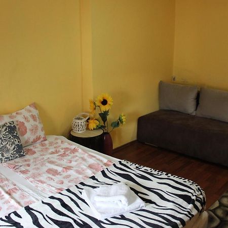 Vitoshka Biggest Apartment Sofia Esterno foto